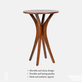 Mango Wood Honey Brown Side Table Easy to Build